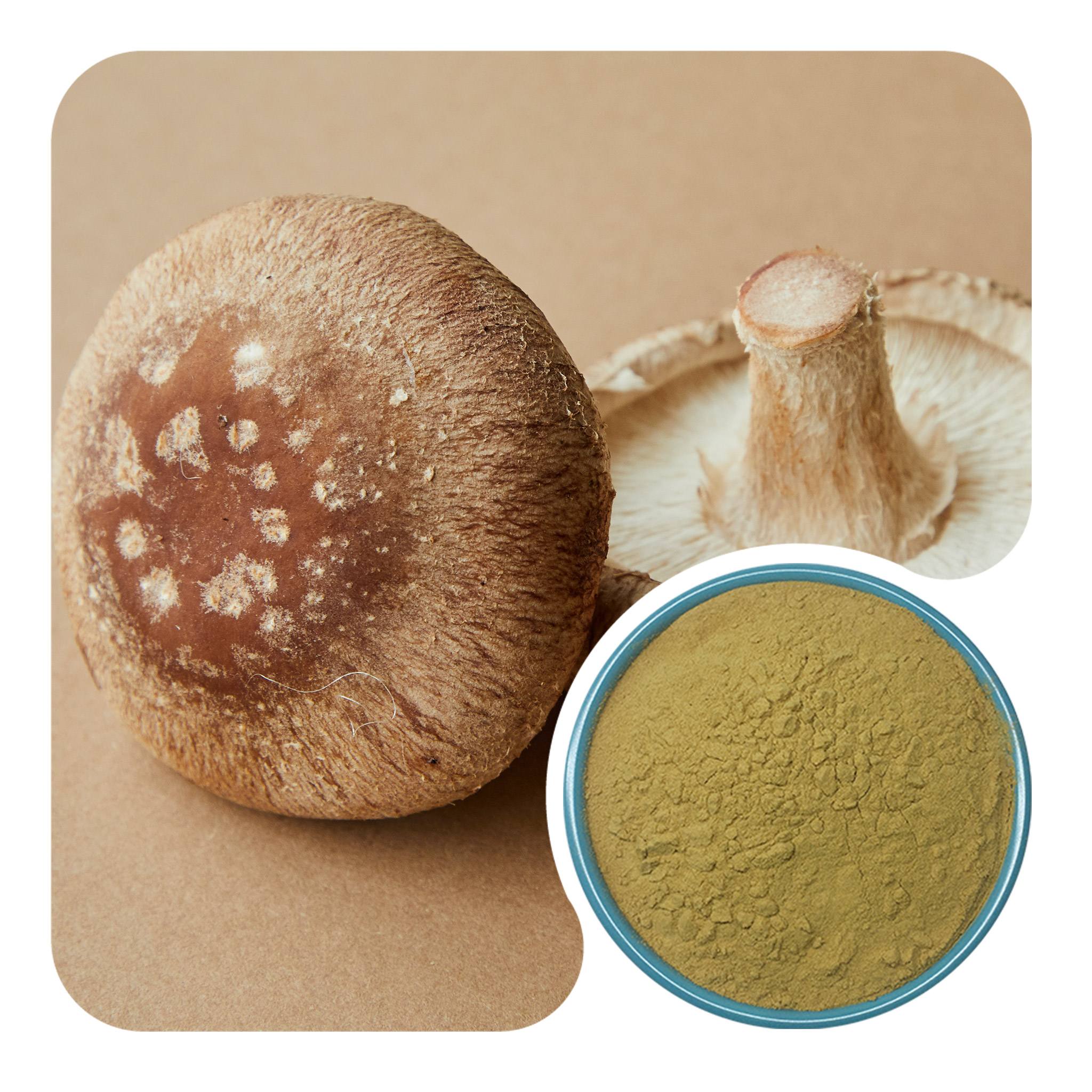 AHCC-Type Shiitake Mycelia Extract