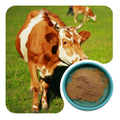 Beef Lung Powder | Natural Protein & Iron for Wellness Support