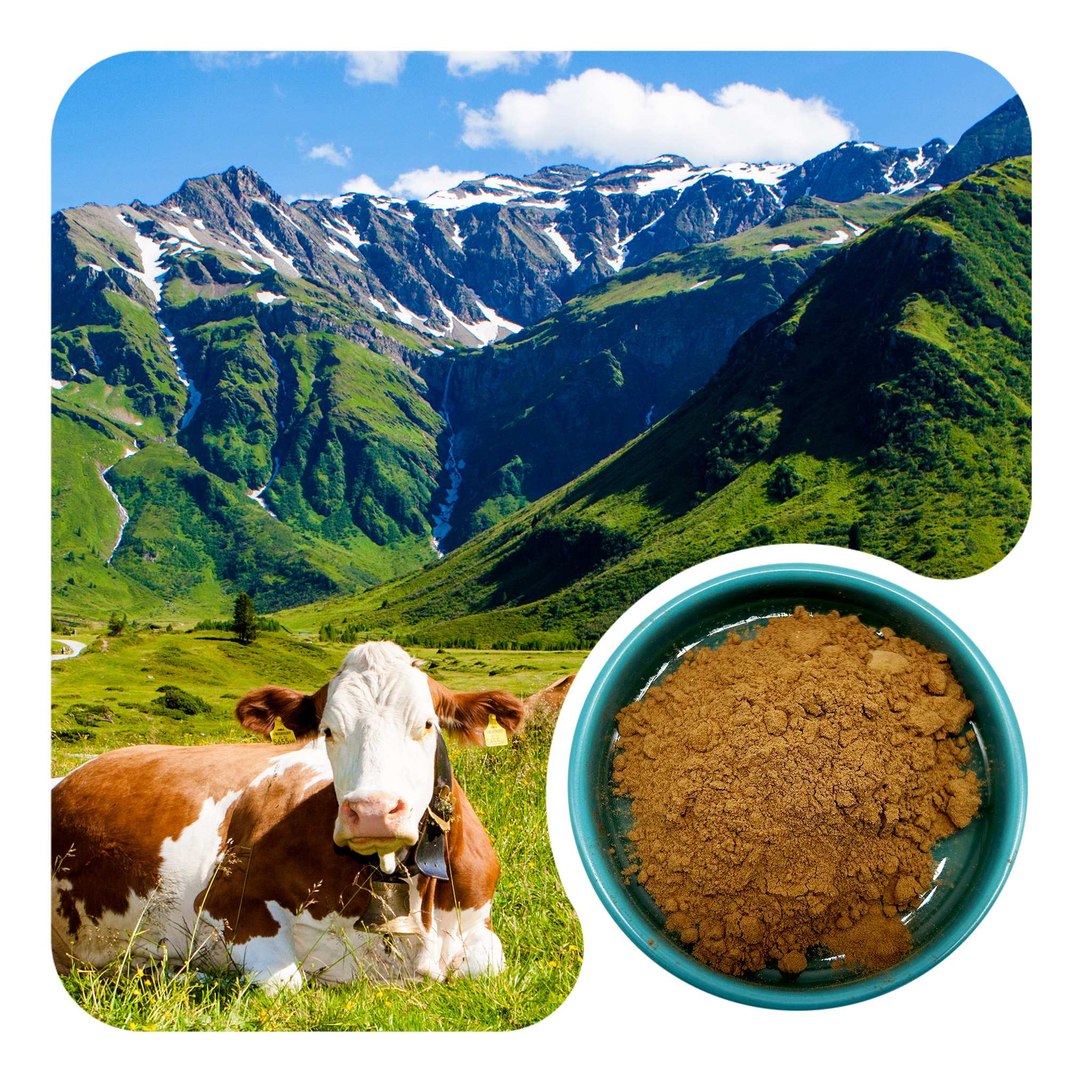 Beef Liver Powder