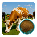 Beef Spleen Powder