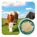 Bovine Uterus Powder