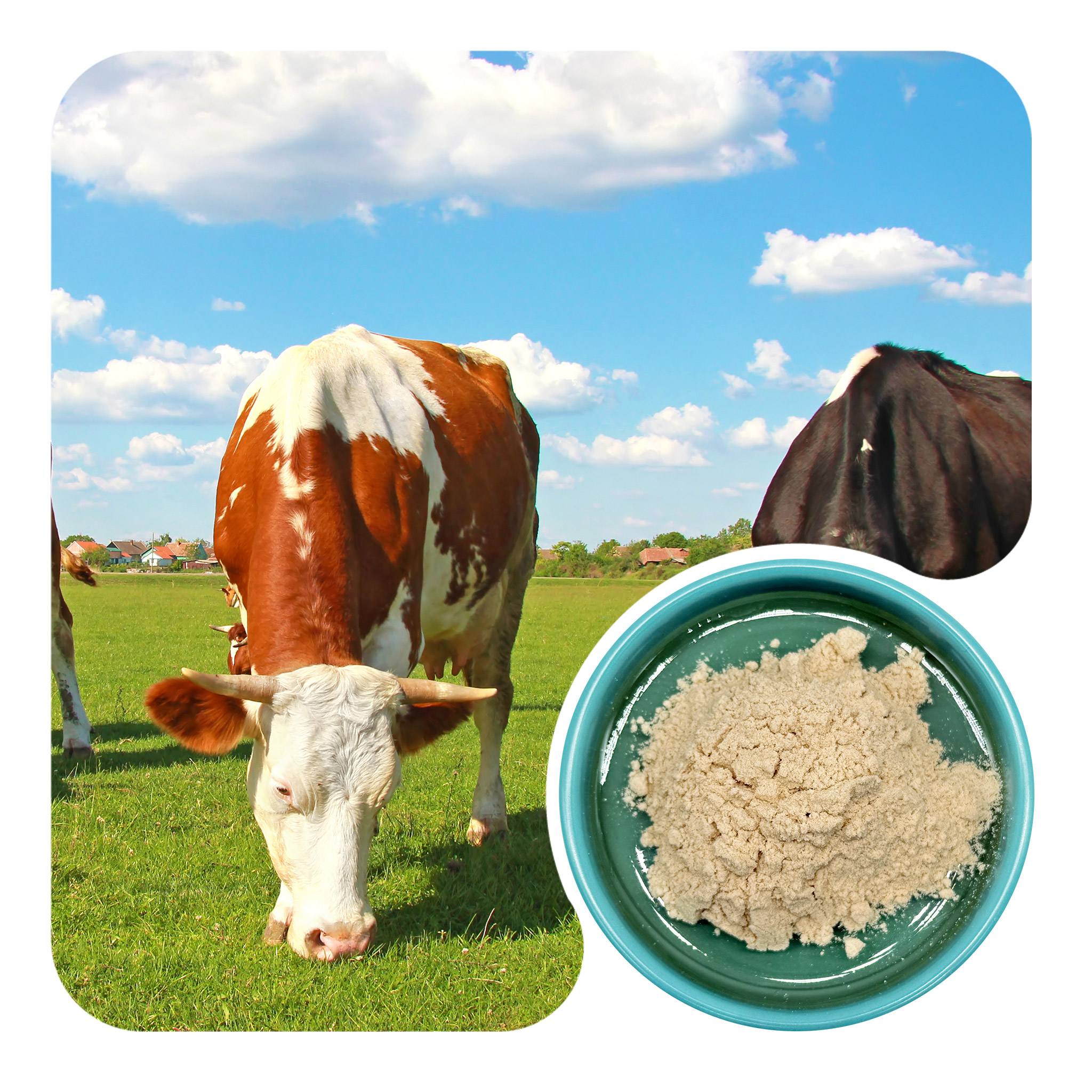 Bovine Uterus Powder