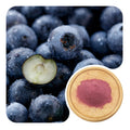 Blueberry Juice Powder | 80 Mesh
