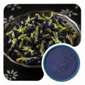 Butterfly Pea Flower Extract Powder