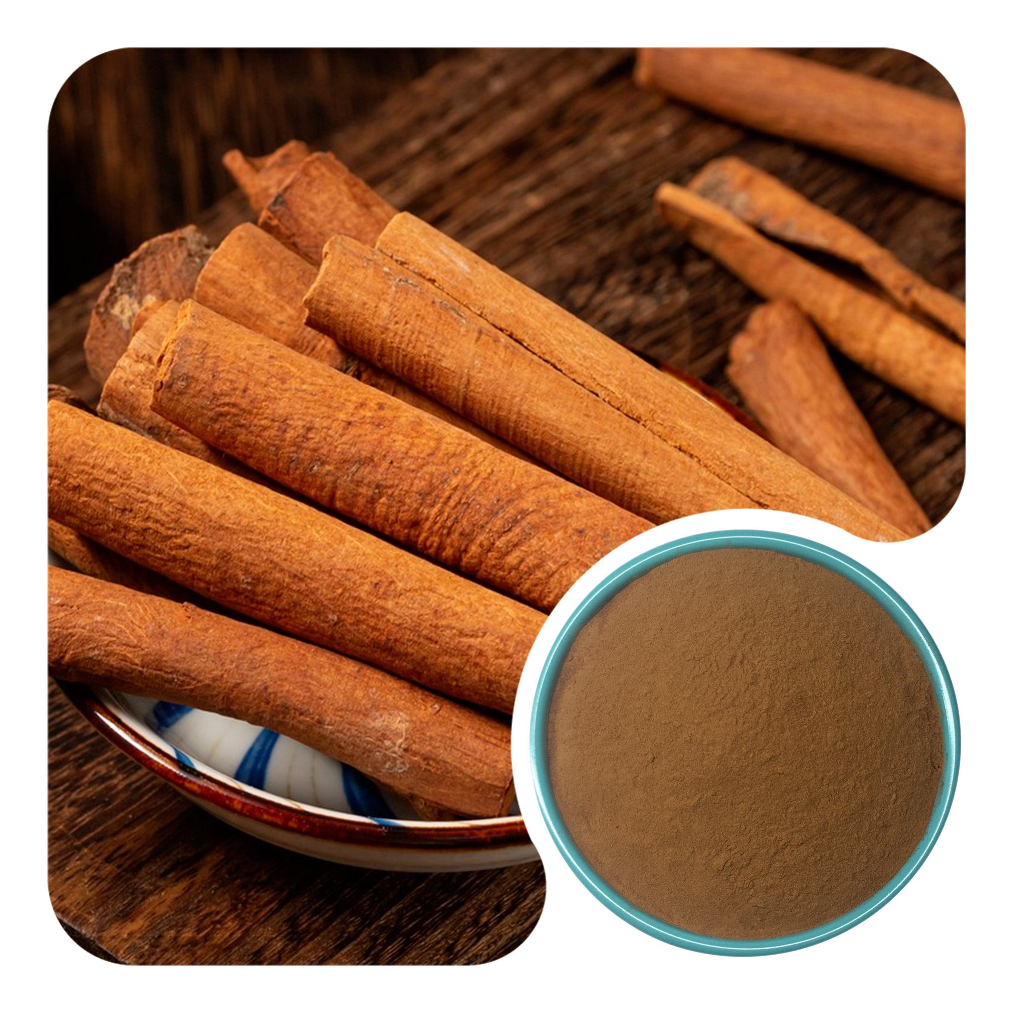 Cinnamon Extract Powder