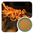 Organic Cordyceps Powder