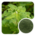Organic Nettle Powder