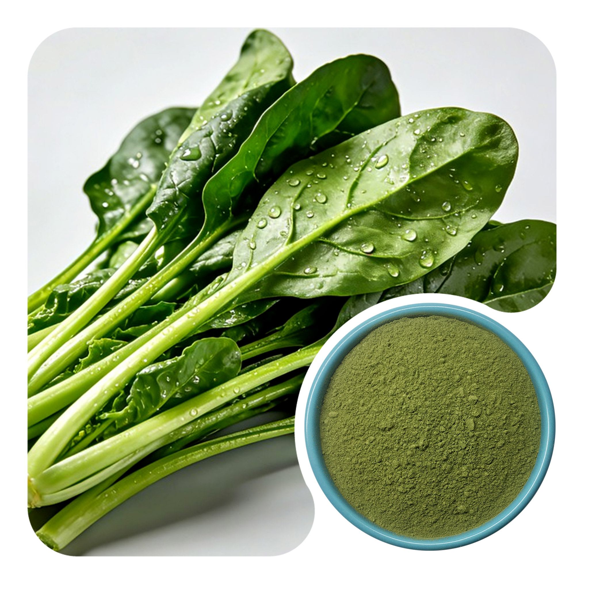 Organic Spinach Powder
