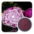 Purple Cabbage Powder
