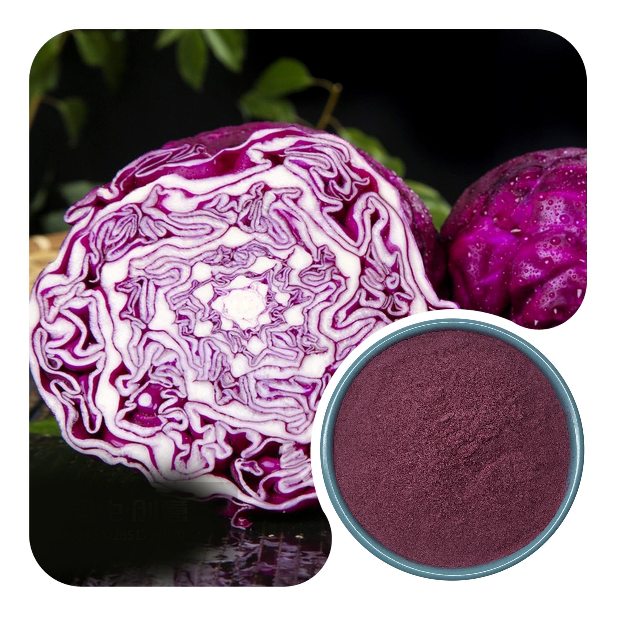 Purple Cabbage Powder