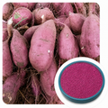 Purple Sweet Potato Color E50