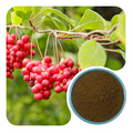 Schisandra Chinensis Extract | ≥2% Schisandrins