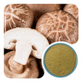 Shiitake Mushroom Powder