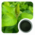 Sodium Copper Chlorophyllin Powder