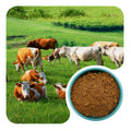 Grass Fed Freeze Dried Beef Heart Powder Bulk Bovine Organ Raw Material