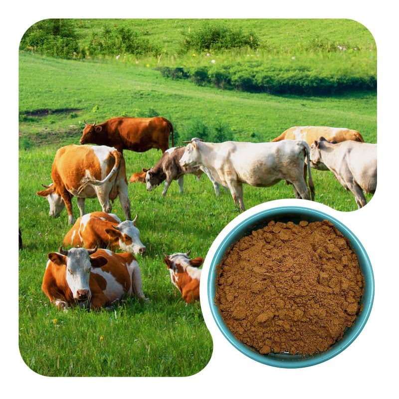 Grass Fed Freeze Dried Beef Heart Powder Bulk Bovine Organ Raw Material