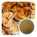 Turkey Tail Extract Powder Polysaccharides Bulk Immunity Supplement Ingredients