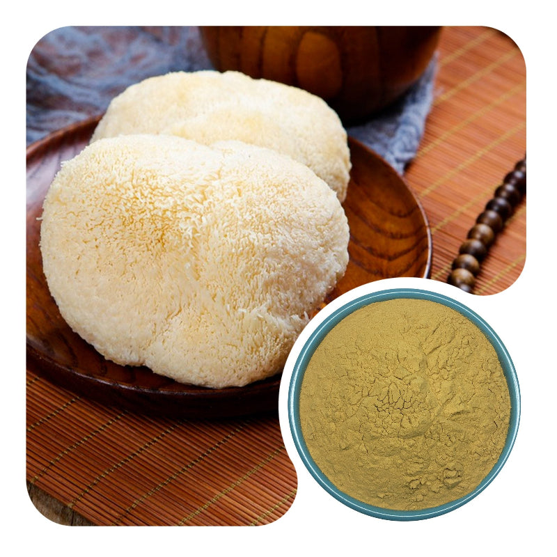 Organic Lion's Mane Mushroom Extract Powder Hericium Erinaceus Bulk Raw Material