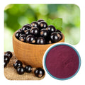 Maqui Berry Powder | 80 Mesh