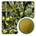 Bulk Olive Leaf Extract Powder Raw Material for Supplement Ingredients