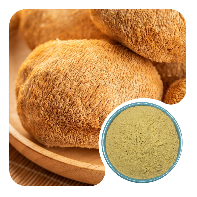 Pure Organic Lion's Mane Extract Powder Bulk for Brain Health Supplement Ingredients