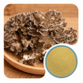 Organic Maitake Powder