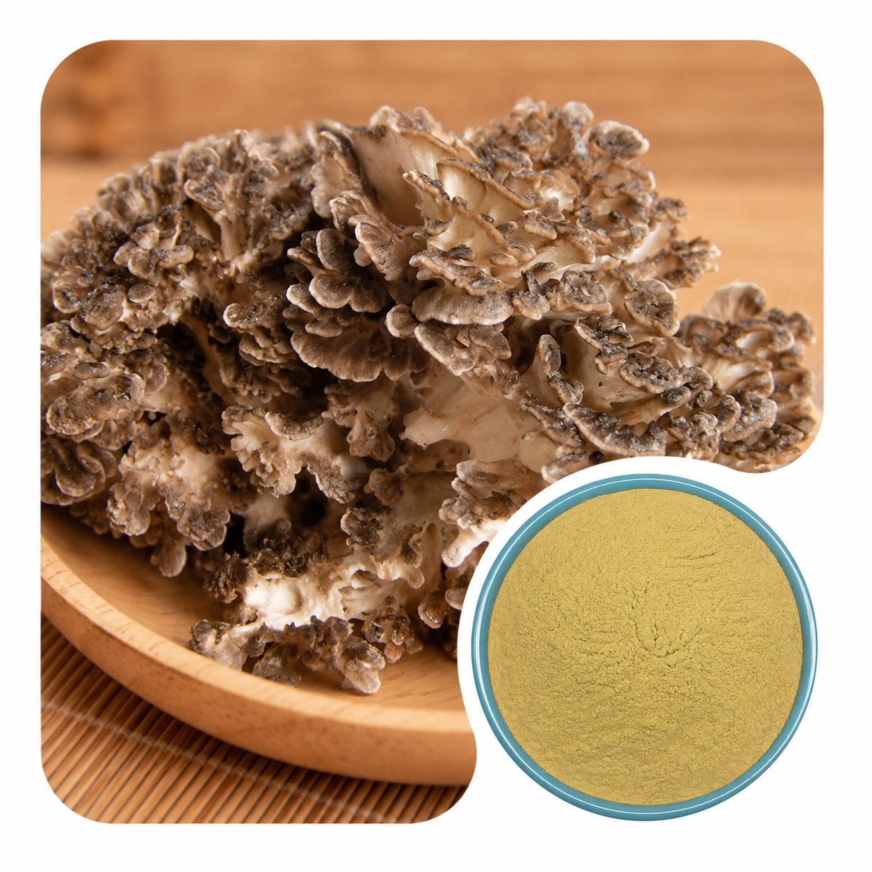 Organic Maitake Powder