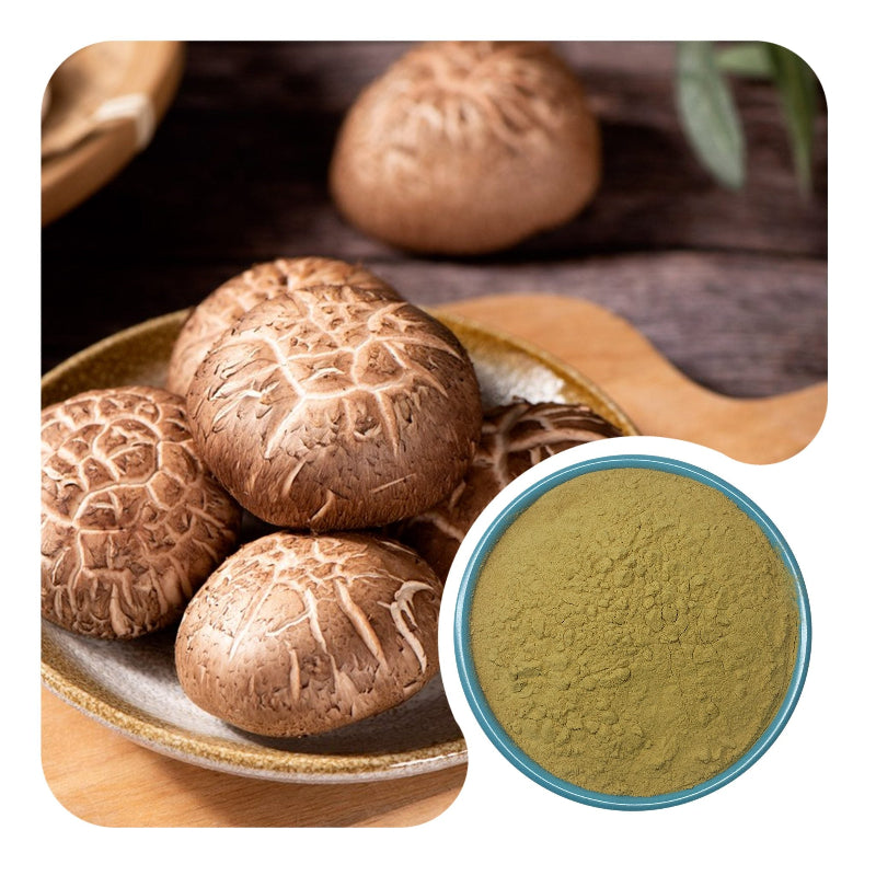 Organic Shiitake Mushroom Extract Powder Lentinan Bulk Supplement Ingredients