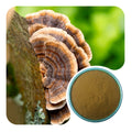Organic TurkeyTail Powder