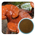 Organic Reishi Mushroom Extract Powder Ganoderma Lucidum Bulk Raw Material